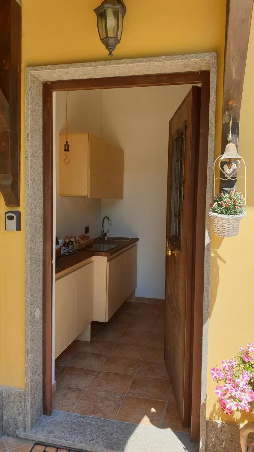 Hotel L'Antico Vigneto à Marino Extérieur photo