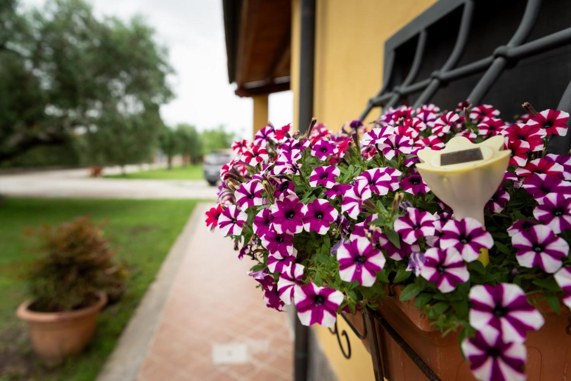 Hotel L'Antico Vigneto à Marino Extérieur photo