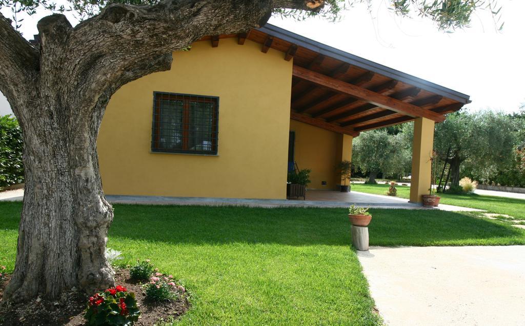 Hotel L'Antico Vigneto à Marino Extérieur photo