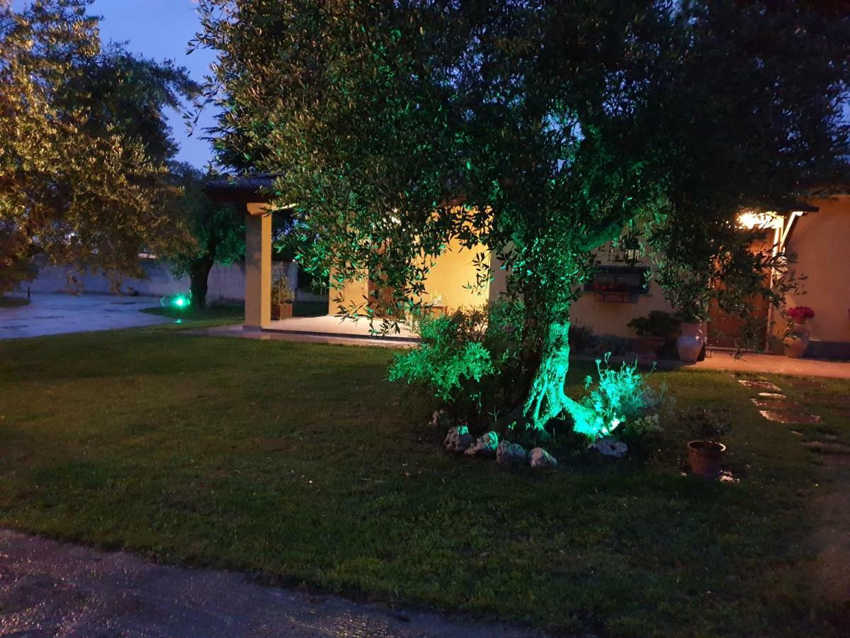 Hotel L'Antico Vigneto à Marino Extérieur photo